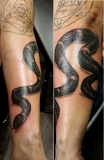 Serpent