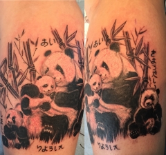 panda 