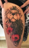 lion coquelicot