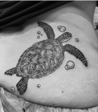 tortue 